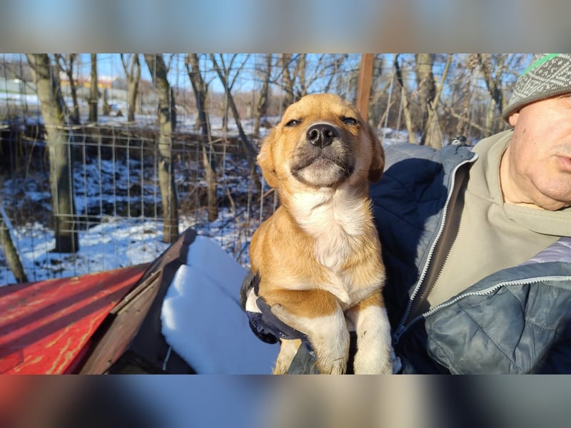 EGUN sucht ein Zuhause