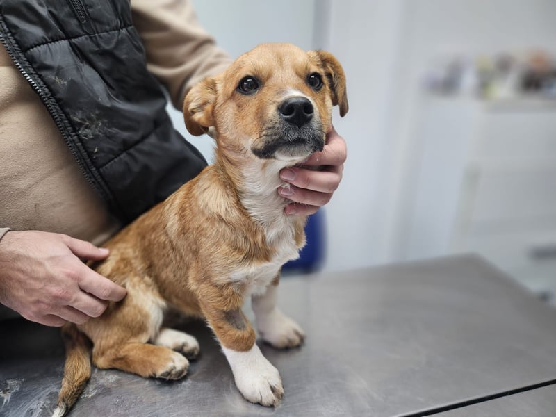 EGUN sucht ein Zuhause