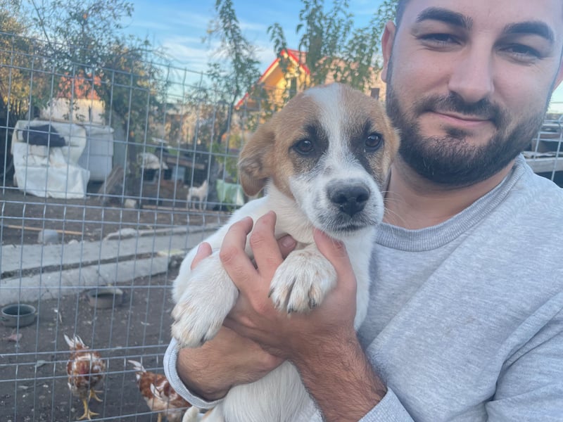 AADHI sucht ein Zuhause