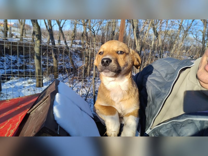 EGUN sucht ein Zuhause