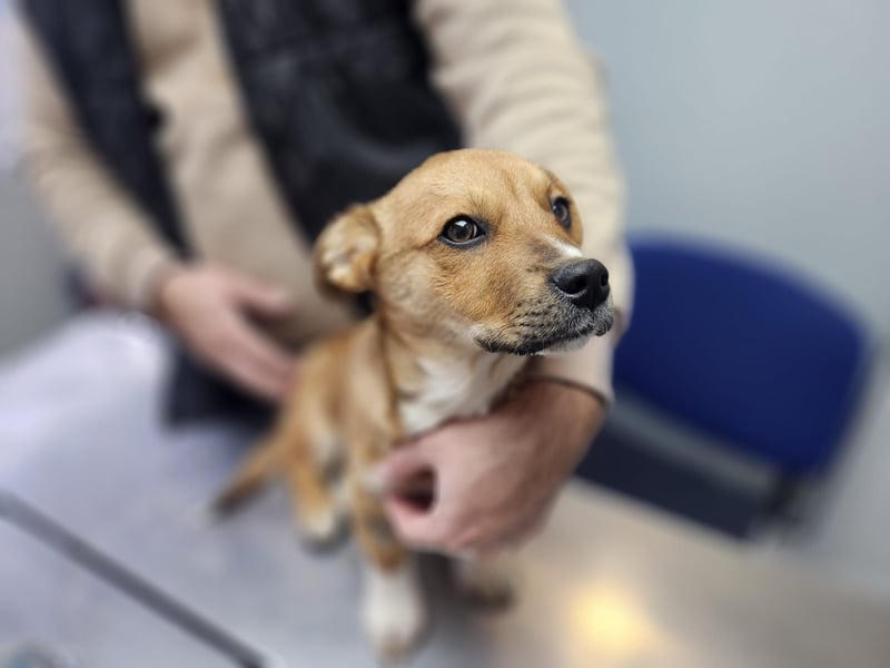 EGUN sucht ein Zuhause