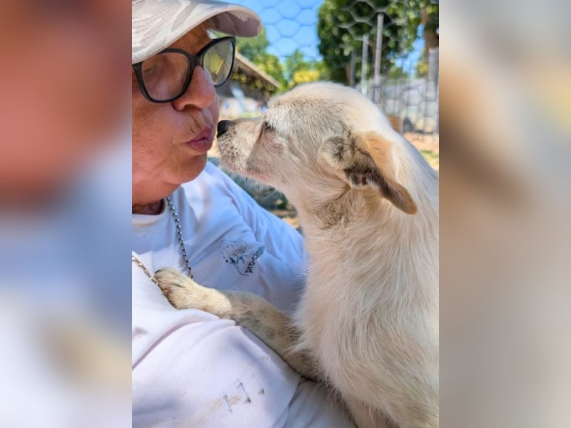 Birbo - egal wie klein, ein Hund bleibt ein Hund