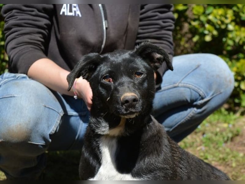 Nettie - was ne Wundertüte!