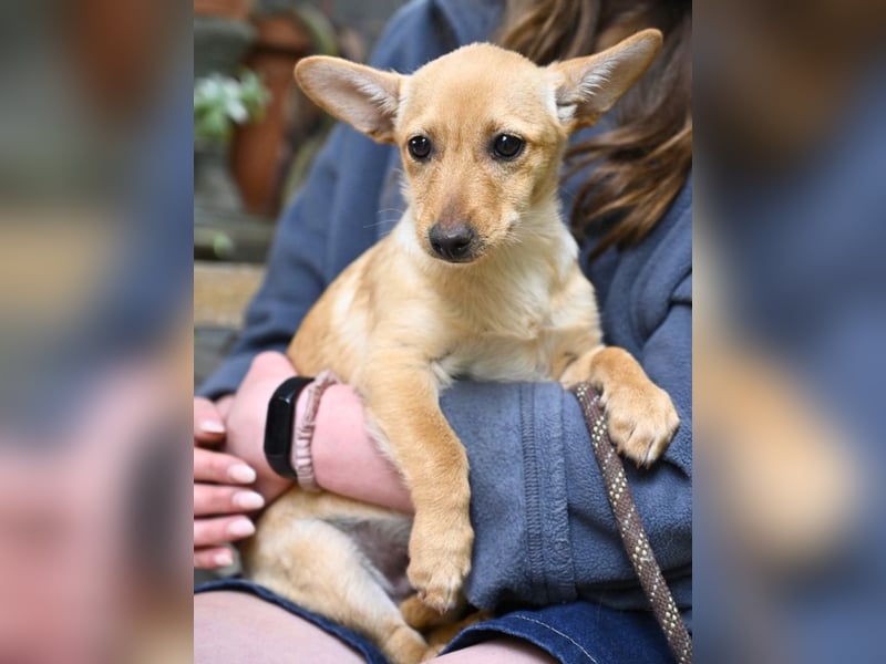 Prospero - was war, darf verblassen - damit Neues ganz langsam wachsen darf