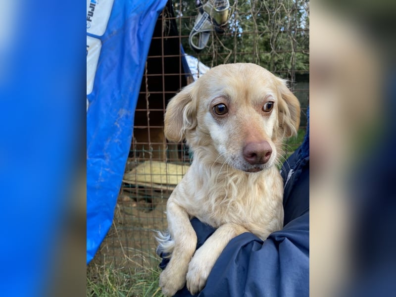 Rona - Vom Dunkel ans Licht