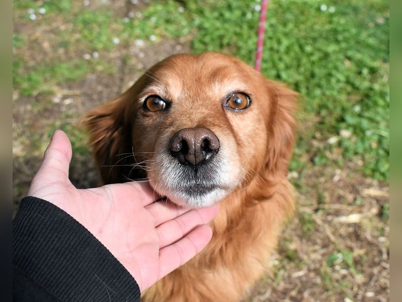 Telyr - "Test, Test, Test"