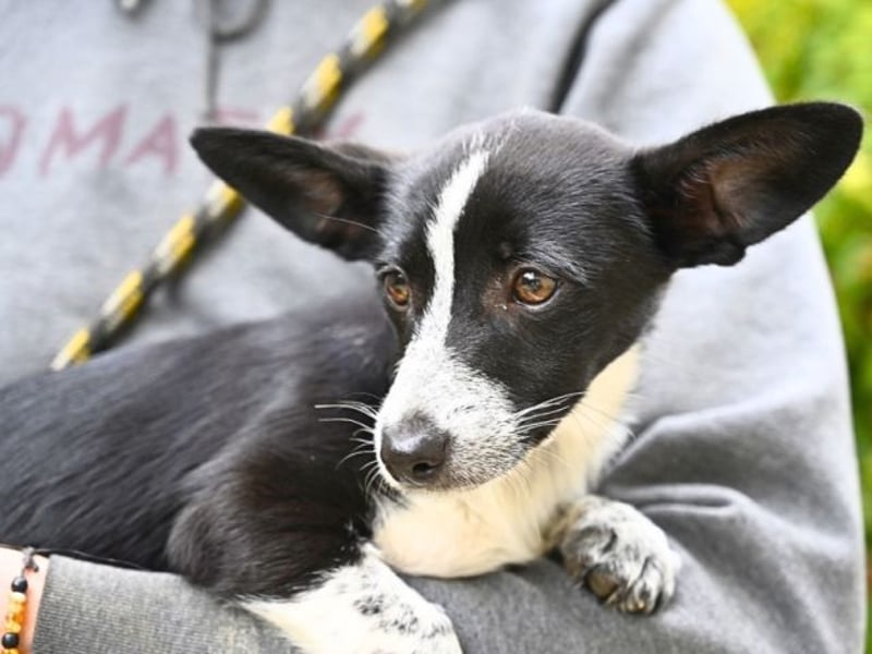 Paulina - was war, darf verblassen - damit Neues ganz langsam wachsen darf