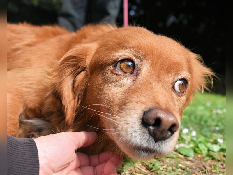 Telyr - "Test, Test, Test"