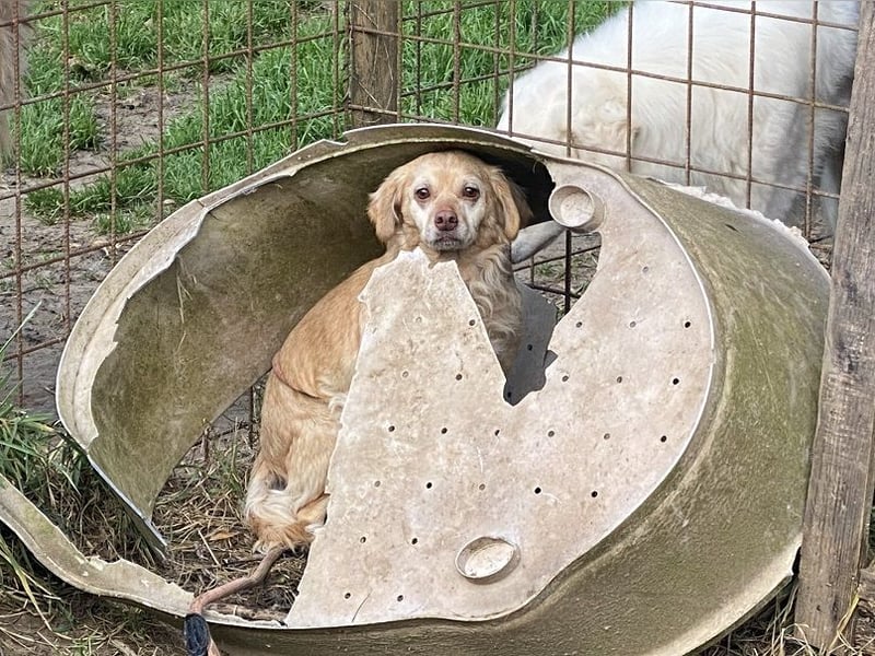 Rona - Vom Dunkel ans Licht