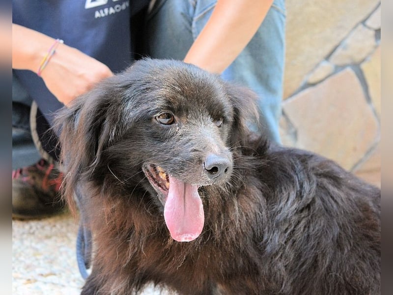 Gingy - Glühwürmchen-Power