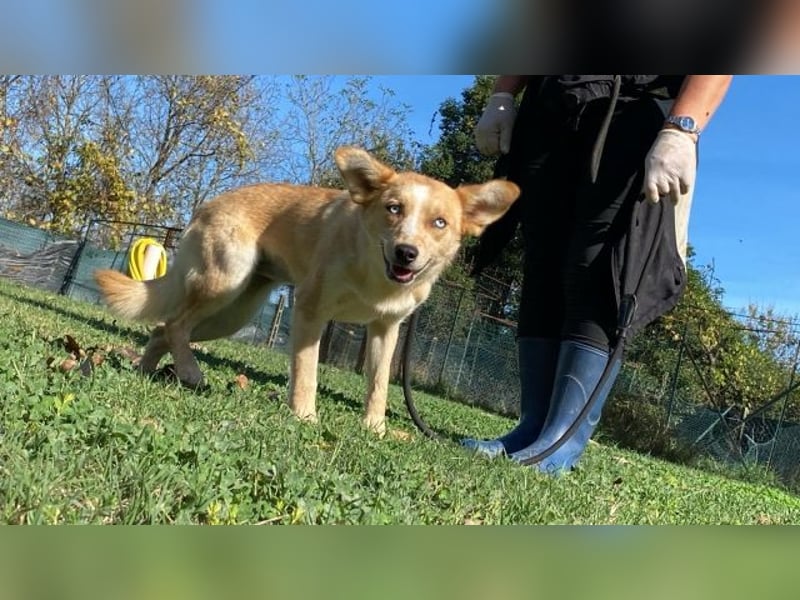 Valentina - Mit blitzblauen Augen die Welt neu entdecken