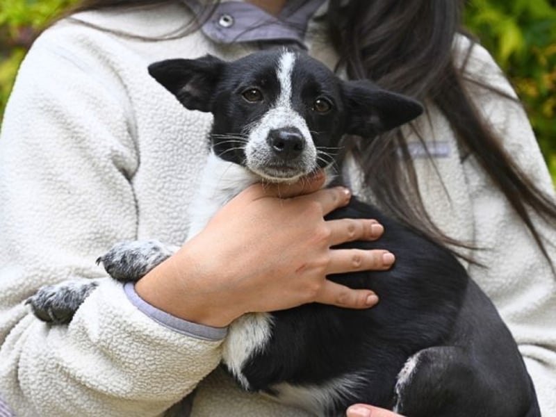 Paulina - was war, darf verblassen - damit Neues ganz langsam wachsen darf