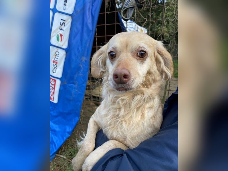 Rona - Vom Dunkel ans Licht