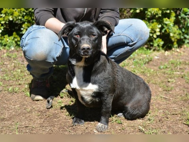 Nettie - was ne Wundertüte!