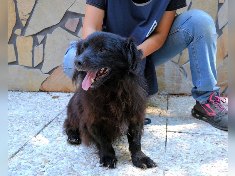 Gingy - Glühwürmchen-Power