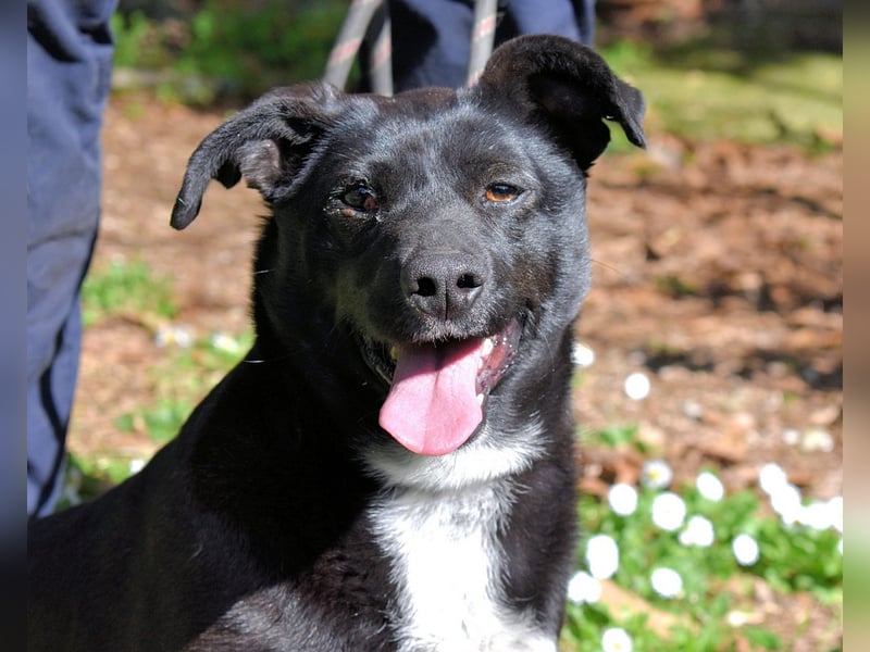 Nettie - was ne Wundertüte!