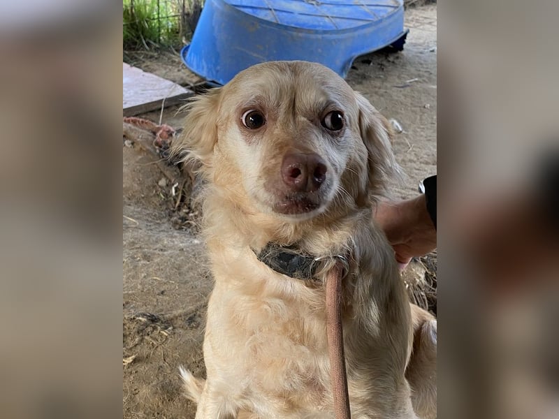 Rona - Vom Dunkel ans Licht