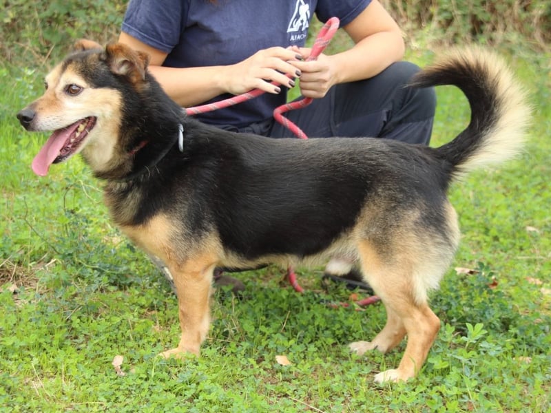 Macky - SOS - und sein Weg zurück ins Leben