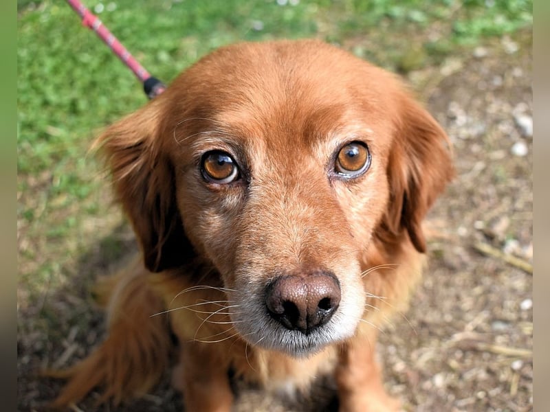 Telyr - "Test, Test, Test"