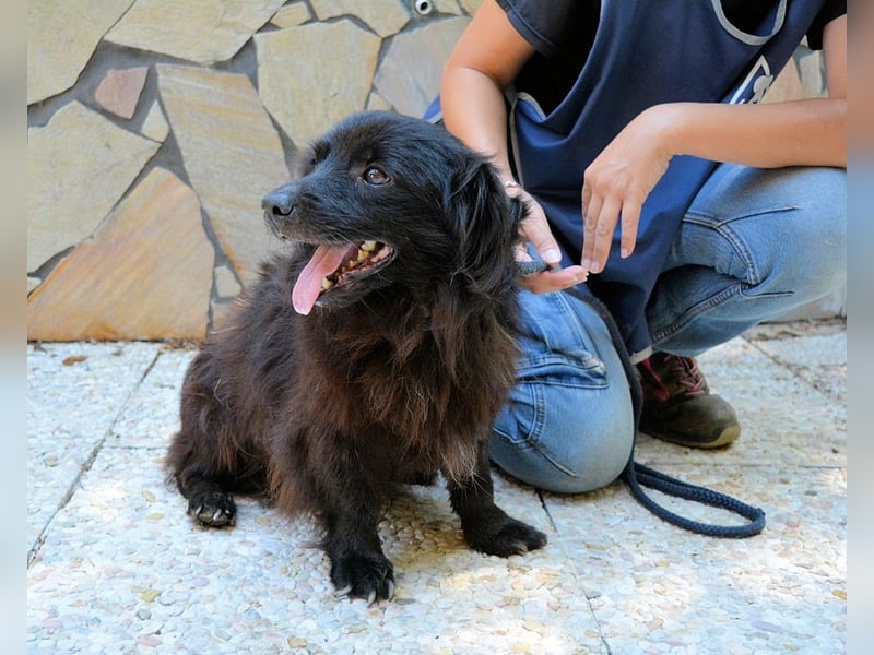 Gingy - Glühwürmchen-Power