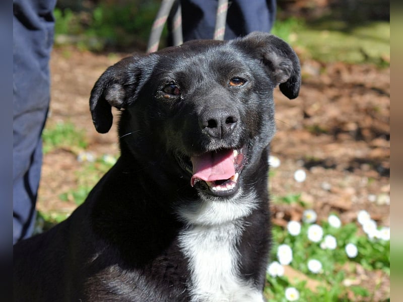 Nettie - was ne Wundertüte!