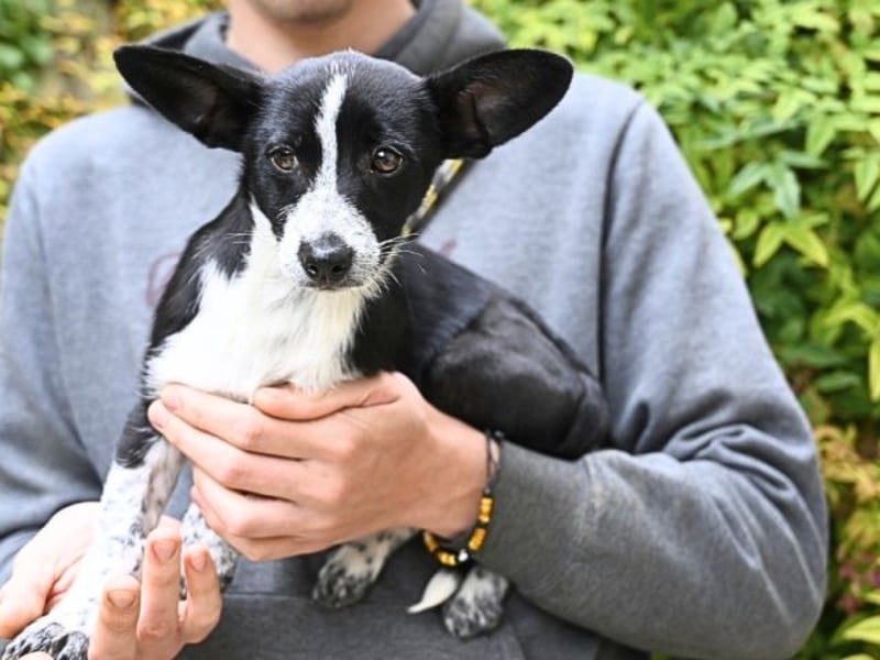 Paulina - was war, darf verblassen - damit Neues ganz langsam wachsen darf