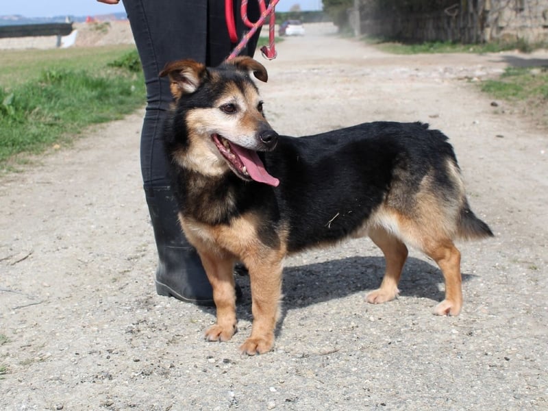 Macky - SOS - und sein Weg zurück ins Leben