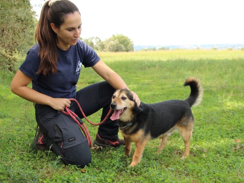 Macky - SOS - und sein Weg zurück ins Leben