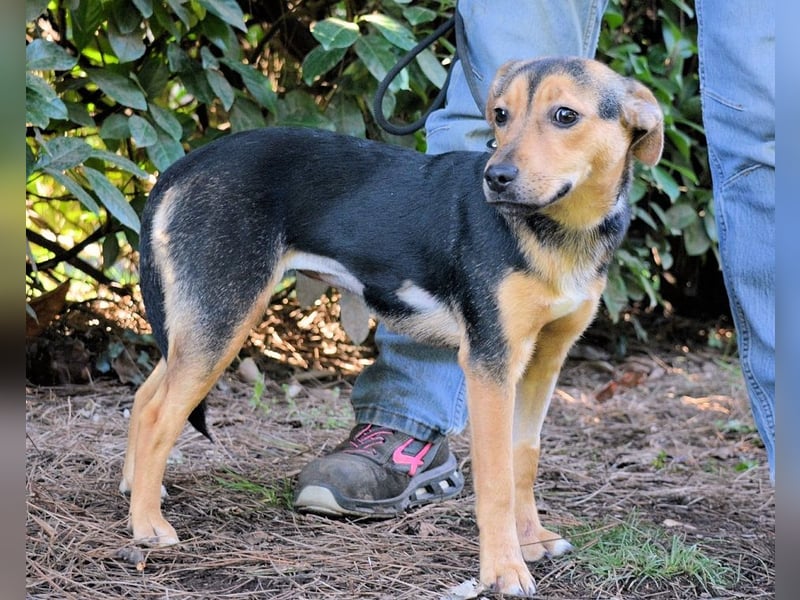 Coryelle - Wenn Schutz-Glitzer plötzlich "Pling" macht