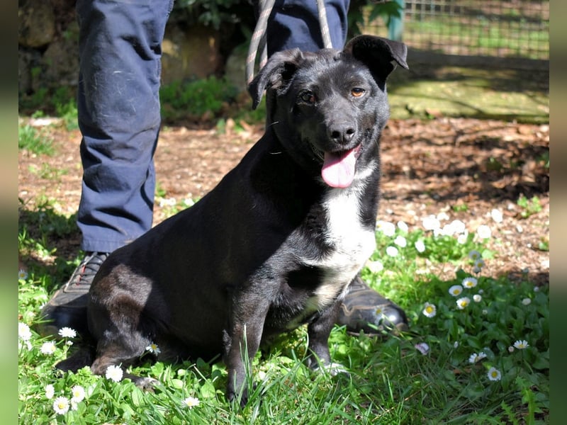 Nettie - was ne Wundertüte!