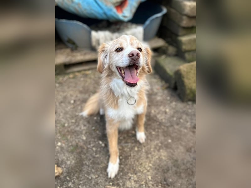 Haribo - Der kleine Held mit der zerbrochenen Kette