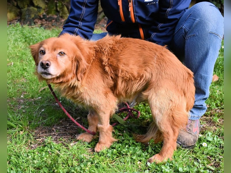 Telyr - "Test, Test, Test"