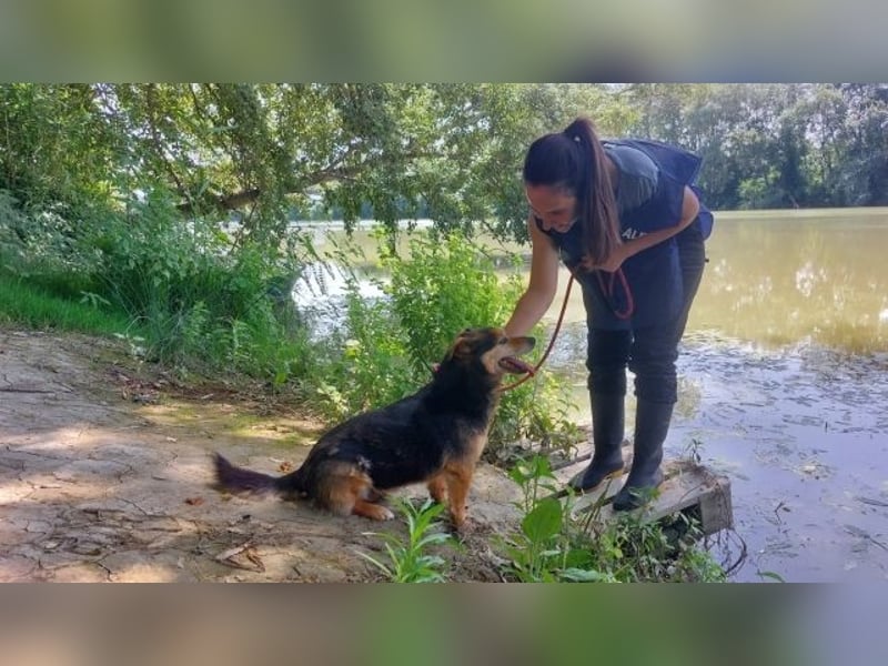 Macky - SOS - und sein Weg zurück ins Leben