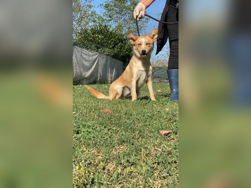 Valentina - Mit blitzblauen Augen die Welt neu entdecken