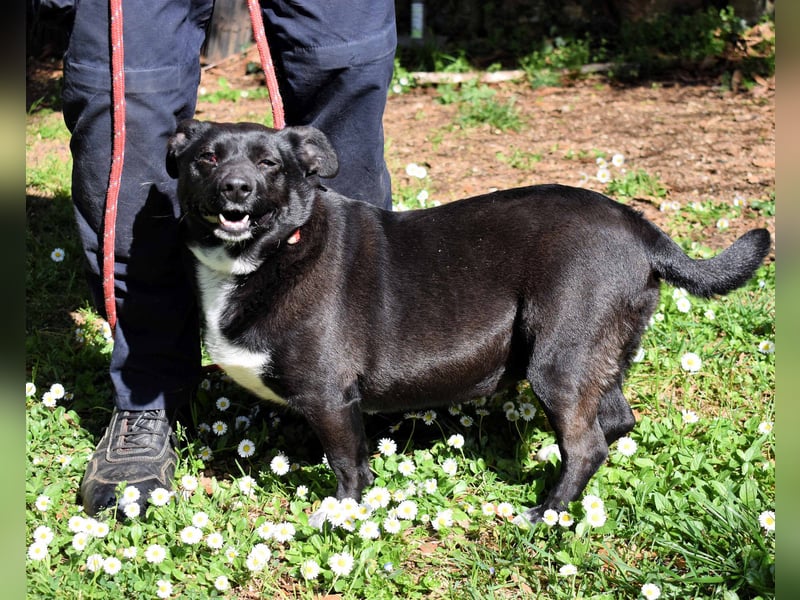 Nettie - was ne Wundertüte!