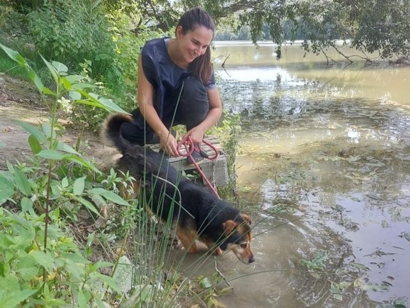 Macky - SOS - und sein Weg zurück ins Leben