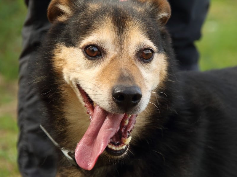 Macky - SOS - und sein Weg zurück ins Leben
