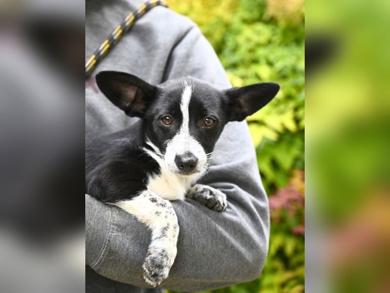 Paulina - was war, darf verblassen - damit Neues ganz langsam wachsen darf