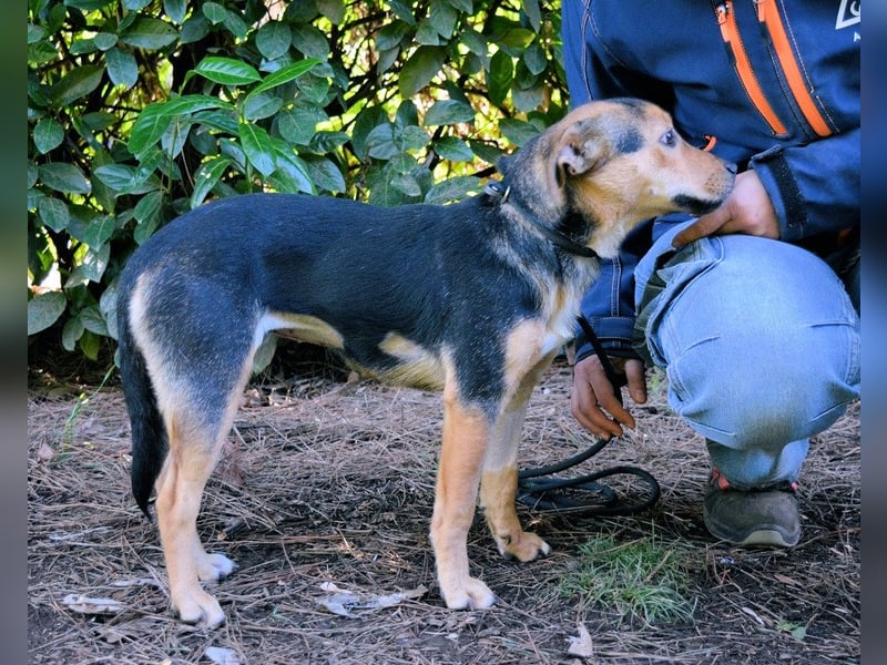 Coryelle - Wenn Schutz-Glitzer plötzlich "Pling" macht