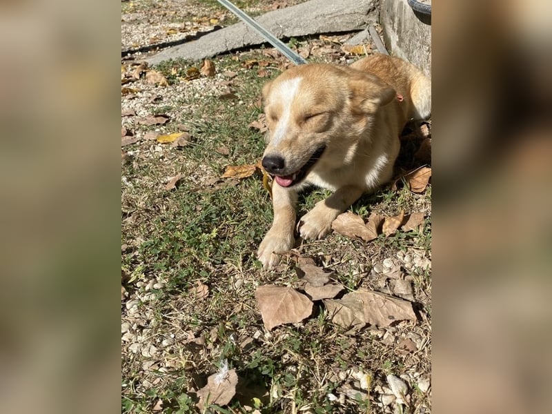 Valentina - Mit blitzblauen Augen die Welt neu entdecken