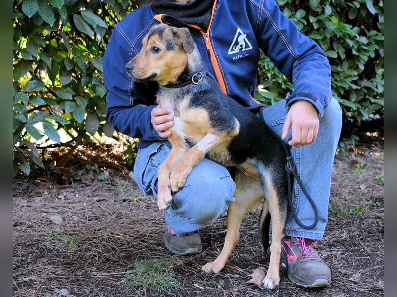 Coryelle - Wenn Schutz-Glitzer plötzlich "Pling" macht