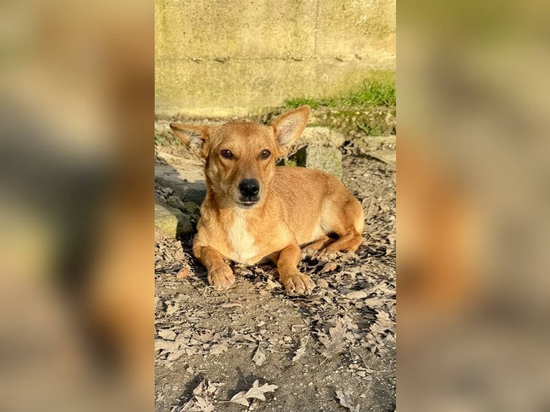 Soraia - unsere kleine Durchhalte-Heldin