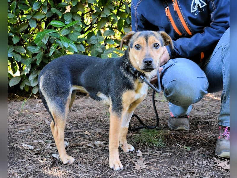 Coryelle - Wenn Schutz-Glitzer plötzlich "Pling" macht