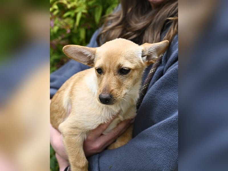 Prospero - was war, darf verblassen - damit Neues ganz langsam wachsen darf