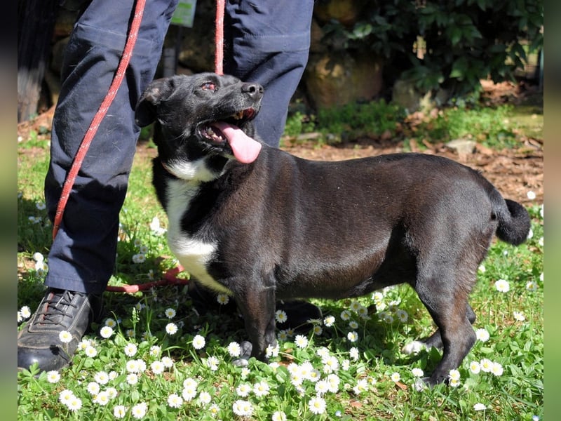 Nettie - was ne Wundertüte!