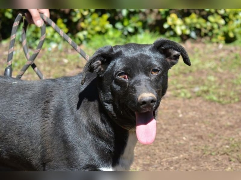 Nettie - was ne Wundertüte!