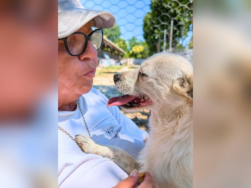 Birbo - egal wie klein, ein Hund bleibt ein Hund