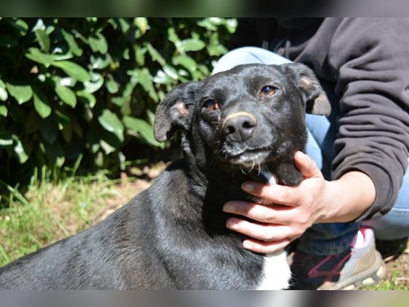 Nettie - was ne Wundertüte!