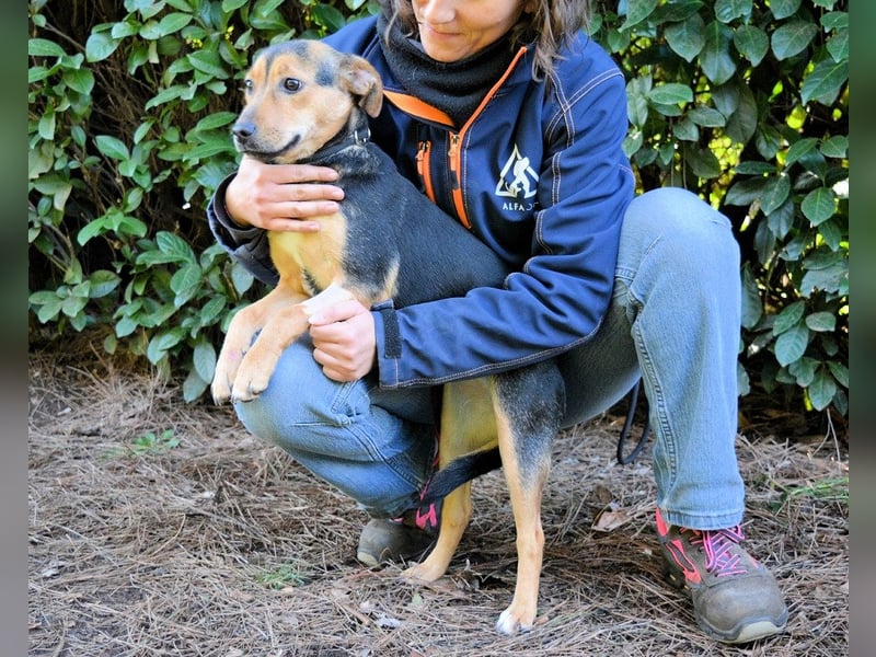 Coryelle - Wenn Schutz-Glitzer plötzlich "Pling" macht