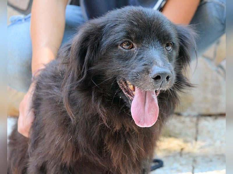 Gingy - Glühwürmchen-Power